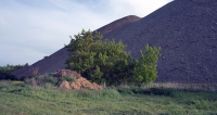 https://emersonculurgioni.com/files/gimgs/th-46_048.jpg